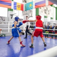 Открытый турнир по боксу «Тартария»
