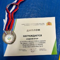 Всероссийские соревнования по дзюдо 